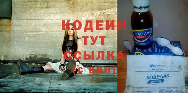 ГАЛЛЮЦИНОГЕННЫЕ ГРИБЫ Арсеньев