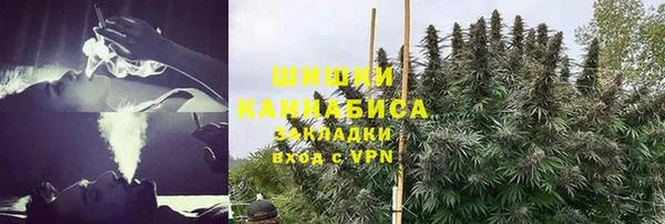 a pvp Аркадак