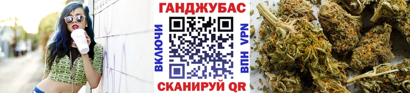 Бошки Шишки MAZAR  Купить закладки  Сурск 